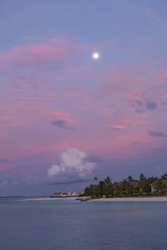 In the maldives Stockfoto's