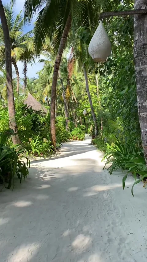 Maldives sandy path tropical palm trees luxury beach villas HD resort vertical Stock-Footage 342342394