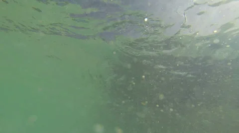 Maldives - surface water Видео 37553520