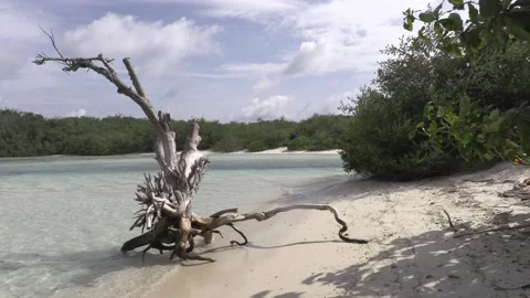 MALDIVES THULUSDHOO BEACH 動画素材 137529592