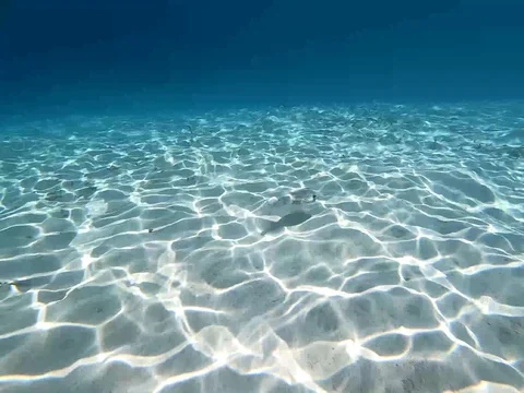 Maldives - Underwater Reflections Video stock 106367671