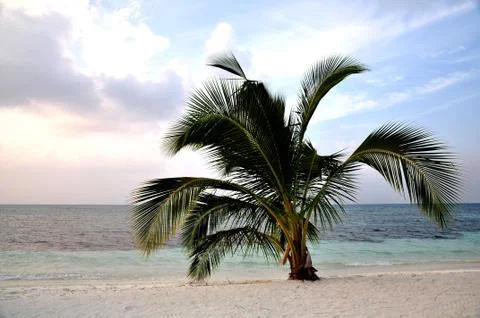 Maldives vacation Foto stock