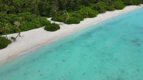 Maldives14 Stock Footage 256090215