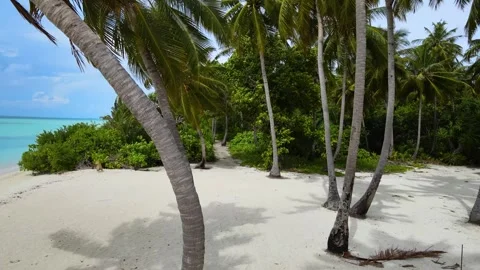Maldives16 Stock Footage 256090495