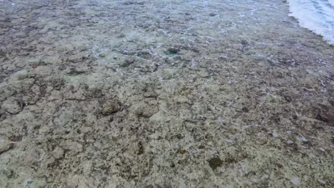 Maldives5 Stock Footage 251185024