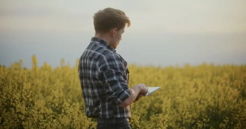 Male Agronomist Using Tablet PC In Farm. Video stock 246830323