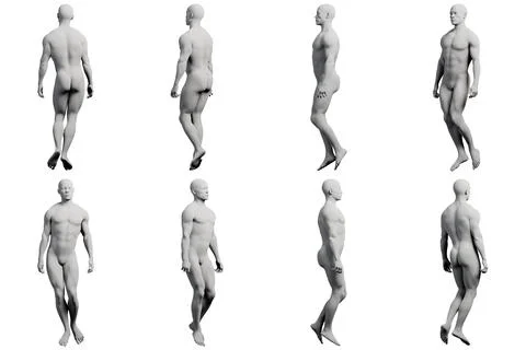 Male anatomy reference figure standing????? Stock Illustration