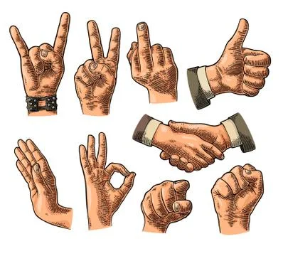Male and female Hand sign. Fist, Like,pointing, fig, Rock Roll. Stock Illustration