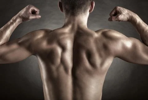 Male back Stock Photos