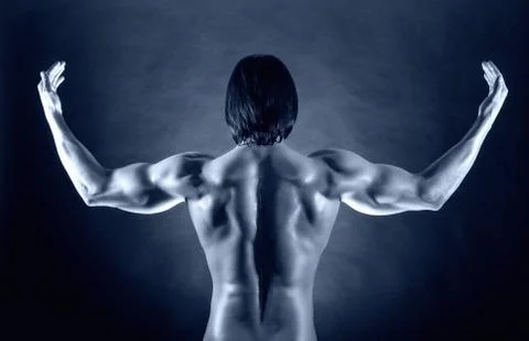 Male back Stock Photos