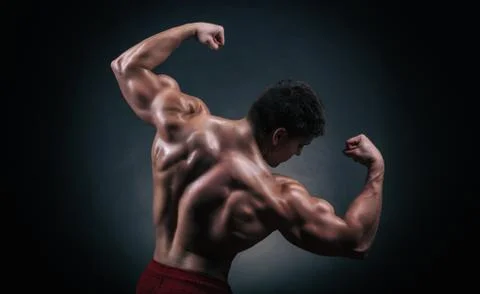 Male back Stock Photos