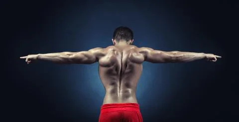 Male back Stock Photos