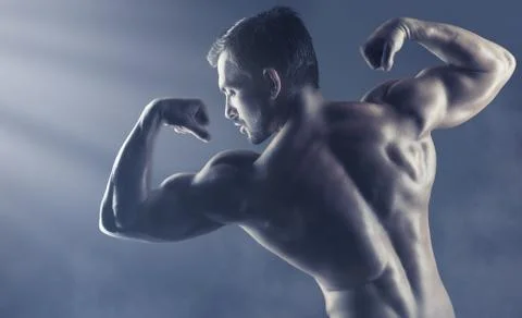 Male back Stock Photos