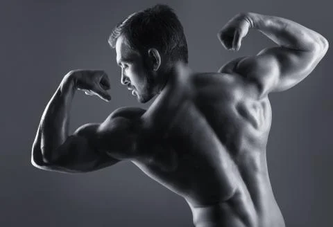 Male back Stock Photos
