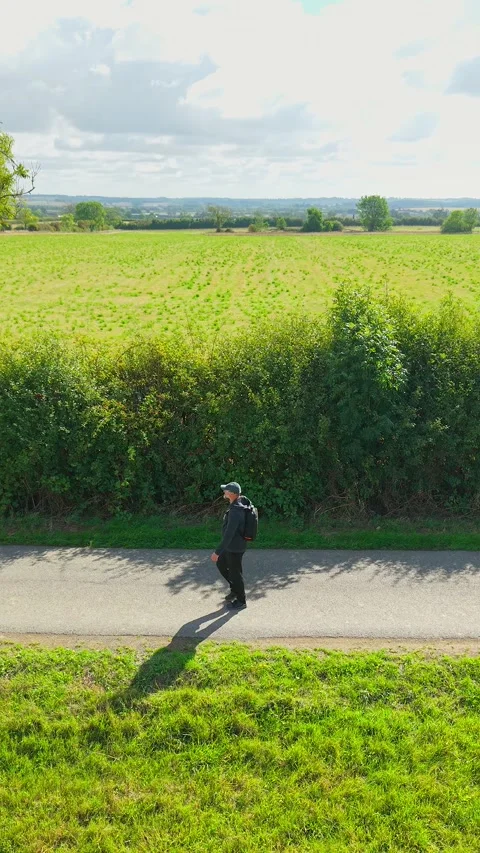 Male backpacker walking beside hedgerow and green field on rural country road Stock Footage 345501249