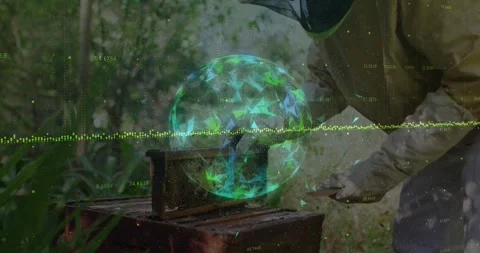 Male beekeeper using hive tool inspecting frames while hologram rippling Stock Footage 319573037