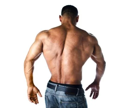 Male bodybuilder back Stock Photos