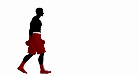 Male boxer Stock Footage 8916645