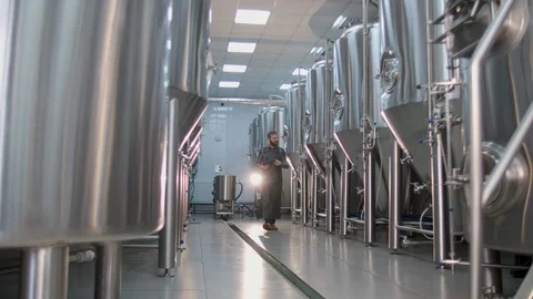 A male brewer with a red beard walks through a craft beer factory and checks the Stock Footage
