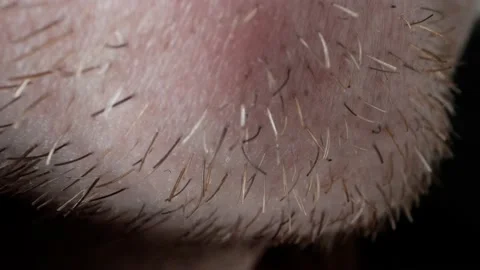 Male bristle close-up Stock Footage 236987787