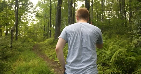 Male brushing off bugs while hiking in green forest trail Stock Footage 112583345