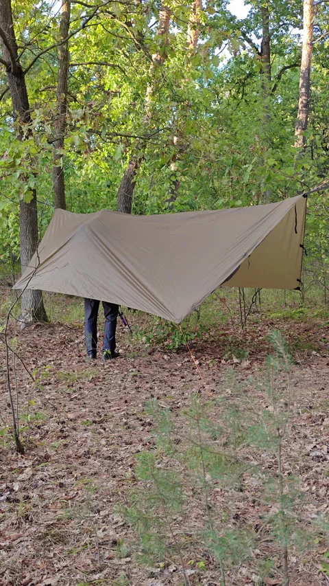 Male Camper Steps Under Tarp Shelter Setting Up Forest Camp Stock Footage 346548808