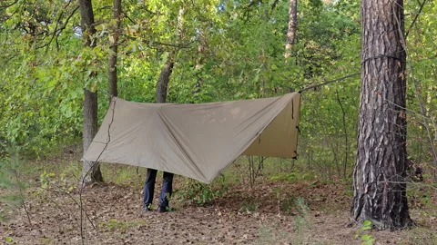 Male Camper Steps Under Tarp Shelter Setting Up Forest Camp Stockbeeldmateriaal 346550837