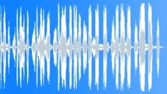 Male Cartoon Laugh Sound Effect