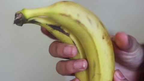 Male Checking the Quality of Bananans Stock Footage 148409835