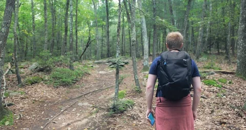 Male checking their phone while hiking through trees and brush on mountain trail Stock Footage 112470747