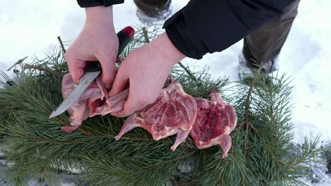 Male chef separates quail meat with a knife close-up. Video stock 170461653
