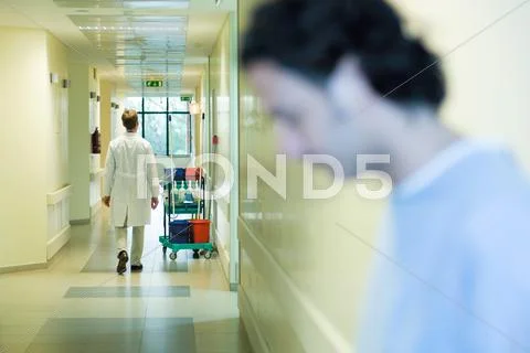 Male Doctor Walking In Hospital Corridor, Rear View, Man With Head Down In