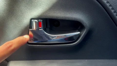 Male driver pressing button locking doors in car Stock-Footage 340569084