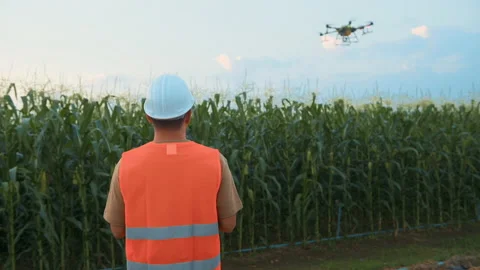 Male engineer controlling drone spraying fertilizer and pesticide over farmla 스톡 동영상 170509341