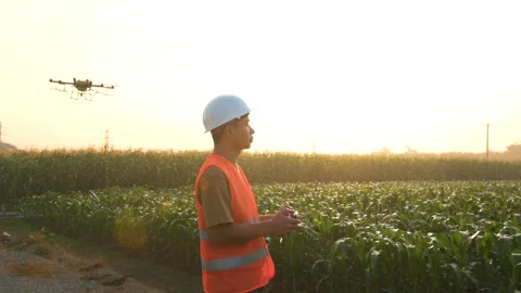 Male engineer controlling drone spraying fertilizer and pesticide over farmla Vídeo Stock 170510287
