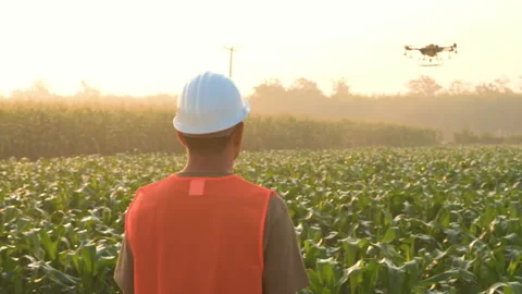 Male engineer controlling drone spraying fertilizer and pesticide over farmla 库存影片 170510660