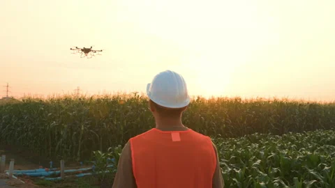 Male engineer controlling drone spraying fertilizer and pesticide over farmla Stock Footage 170510704