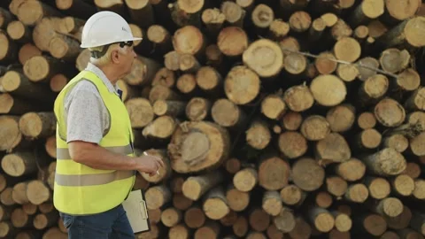 Male engineer of timber industry complex in close-up in overalls counts logs Stock Footage 242695659