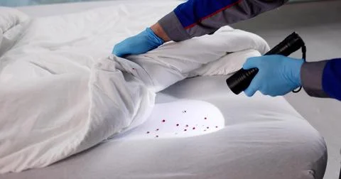 Male Exterminator Inspecting Bed For Bugs In Pest Control Services. Stock Photos