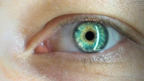 Male eye close up Stock Footage 100916332