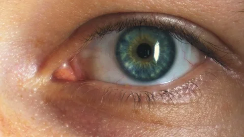 Male eye close up Stock Footage 101352366