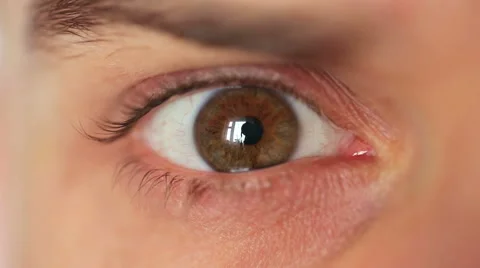 Male eye closeup Stock Footage 40079166