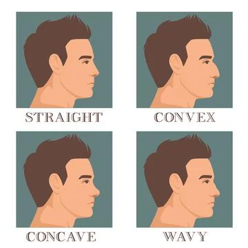 Male face in profile with different types of nose convex, straight, concave and Stock Illustration