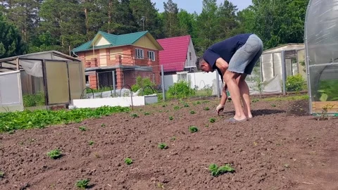 Male farmer digging in the ground on spring day. Stock Footage 163686031