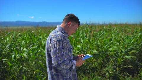 Male farmer man using digital tablet computer, technology in corn field Stock Footage 101307504