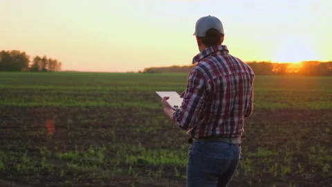 Male farmer man using laptop computer, checking quality of organic vegetables Stock Footage
