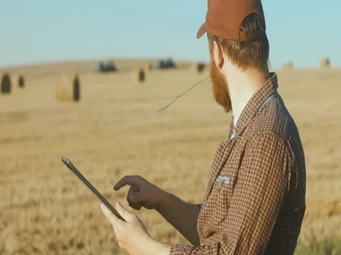 Male farmer with portable tablet computer in a field using specialized app Video stock 78698744