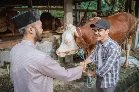 The male farmer standing and hand shake with the moslem man Stock Photos