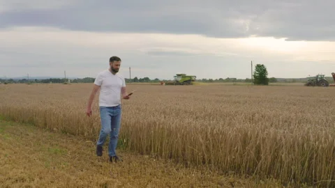 Male farmer with tablet computer in wheat field walking and checking Stock Footage 249607791