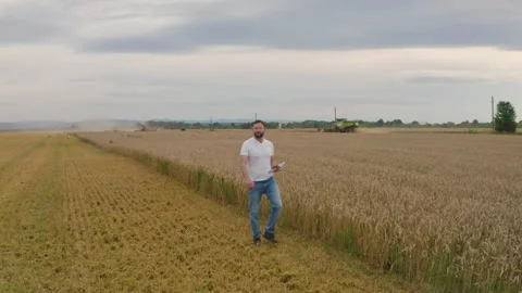 Male farmer with tablet computer in wheat field walking and checking Stock Footage 249607830
